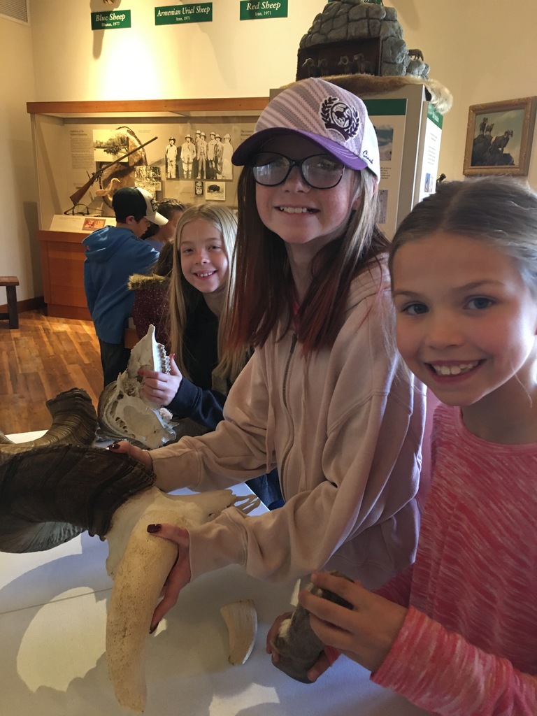 Students got to hold bighorn sheep skulls and horns.