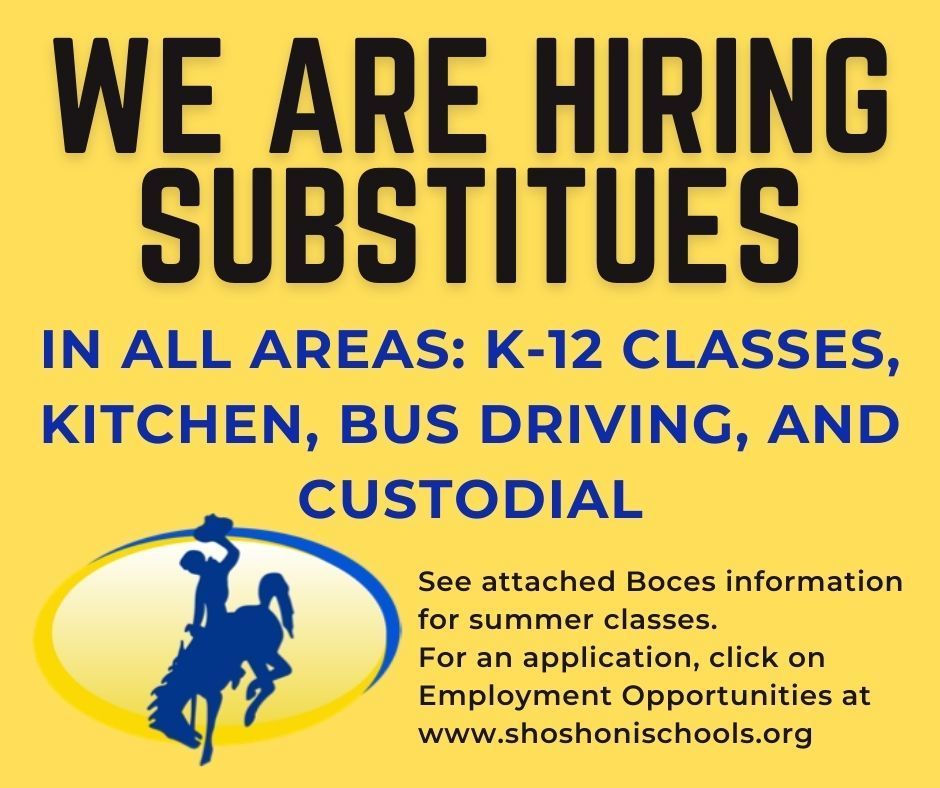 We are hiring substitutes! For classroom substitute classes see the attached flyer from Boces for summer classes. For all other departments, complete the application here: https://www.applitrack.com/fremont24/onlineapp/